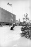 Students building snowman at Wilfrid Laurier University