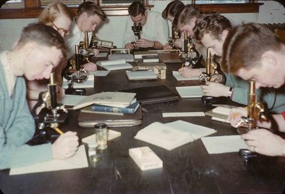 Waterloo College students in laboratory