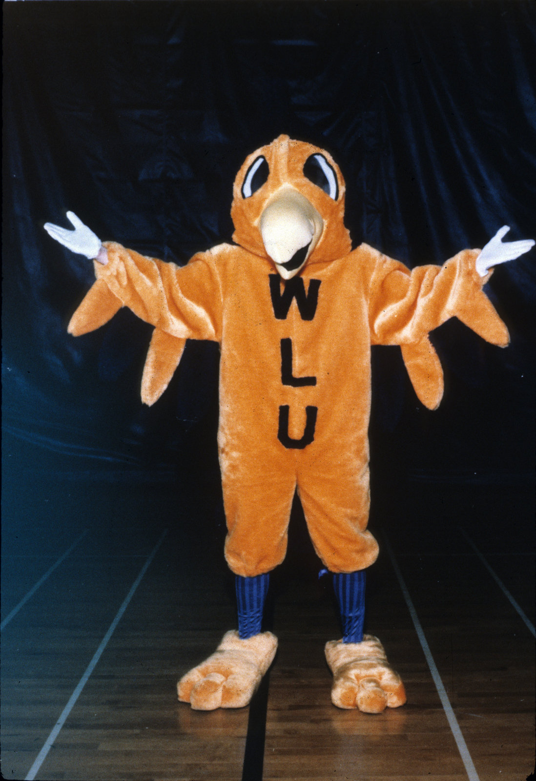 Wilfrid Laurier University Golden Hawk Mascot Laurier Library Images