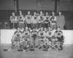 Waterloo College hockey team, 1953-54
