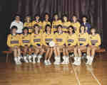 Wilfrid Laurier University women's volleyball team, 1987-88