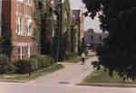 Man walking in front of Willison Hall