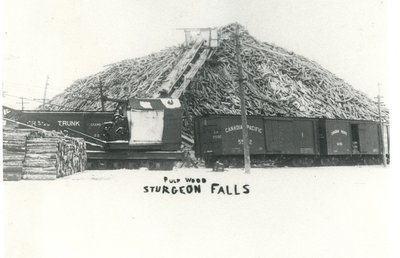 Montagne de bois à pâte, Sturgeon Falls / Pulp wood pile, Sturgeon Falls