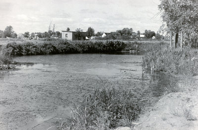 Vue de la rive et de l'eau, Cache Bay / View of the Water and Shoreline, Cache Bay