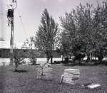 Matériaux de construction et arbres sur le terrain du Sunbeam Hotel / Building Materials and Trees on the Site of the Sunbeam Hotel