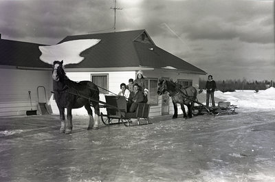 Les chevaux de Geo. Smith / Geo. Smith's Horses