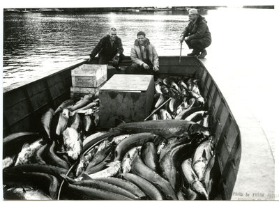 Pêcheurs / Fishermen