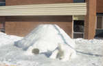 Sculpture de neige d'un ours polaire en avant d'un igloo / Snow Sculpture of Polar Bear in Front of Igloo
