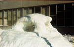 Sculpture de neige d'un ours polaire / Polar Bear Snow Sculpture