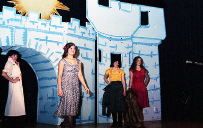 Contestants on Stage During the 1978 Miss Sturgeon Falls Pageant