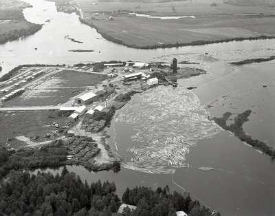 Incendie à la scierie de Goulard Lumber, Sturgeon Falls, 1974 / Fire at the Goulard Lumber sawmill, Sturgeon Falls, 1974