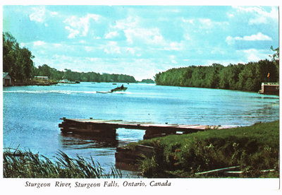 Rivière Sturgeon, Sturgeon Falls / Sturgeon River, Sturgeon Falls