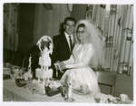 Mariage de M. & Mme. Laurent Michaud / Wedding Mr. & Mrs. Laurent Michaud
