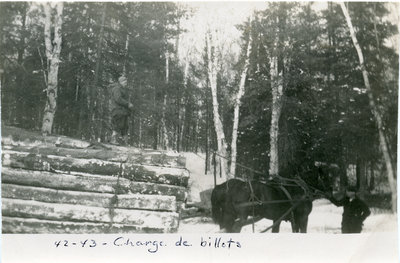 Chargement de billots / Load of Logs