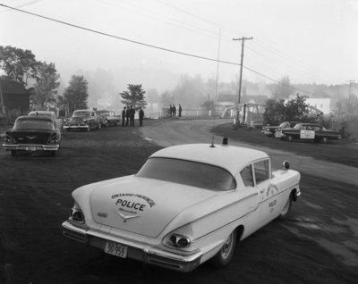 Voitures de police, Field / Police cars, Field