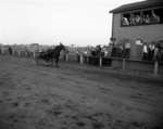 Course de chevaux, Sturgeon Falls / Horse Racing, Sturgeon Falls