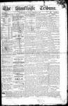 Stouffville Tribune (Stouffville, ON), December 28, 1888