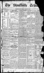 Stouffville Tribune (Stouffville, ON), January 18, 1889