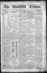 Stouffville Tribune (Stouffville, ON), May 17, 1889