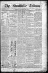 Stouffville Tribune (Stouffville, ON), June 14, 1889