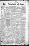Stouffville Tribune (Stouffville, ON), June 21, 1889