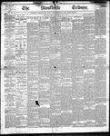 Stouffville Tribune (Stouffville, ON), November 16, 1893
