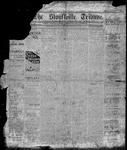 Stouffville Tribune (Stouffville, ON), January 24, 1895