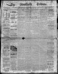 Stouffville Tribune (Stouffville, ON), March 21, 1895