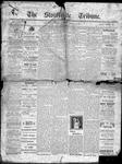 Stouffville Tribune (Stouffville, ON), March 11, 1897