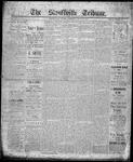 Stouffville Tribune (Stouffville, ON), July 11, 1901