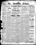 Stouffville Tribune (Stouffville, ON), June 16, 1904