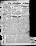 Stouffville Tribune (Stouffville, ON), October 13, 1904