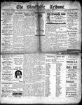 Stouffville Tribune (Stouffville, ON), August 17, 1916