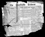 Stouffville Tribune (Stouffville, ON), January 2, 1930