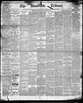 Stouffville Tribune (Stouffville, ON), March 24, 1893