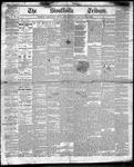 Stouffville Tribune (Stouffville, ON), November 30, 1893