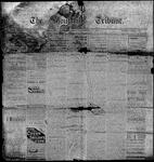 Stouffville Tribune (Stouffville, ON), October 17, 1895
