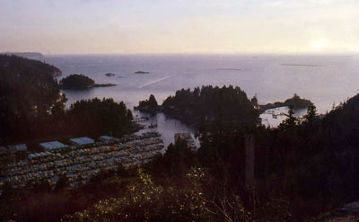 Fisherman's Cove from Seaview Walk