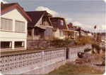 Waterfront Houses