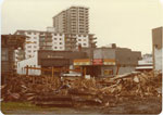 Demolished Lot