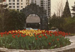 Memorial Arch with Tulips
