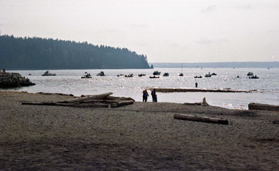 Ambleside Beach Looking Towards Siwash Rock