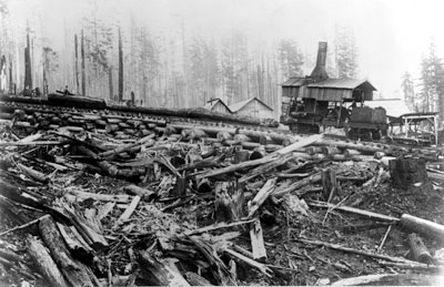 McNair Fraser Logging Camp