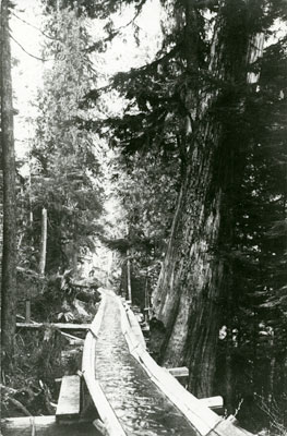 Capilano Canyon Log Flume