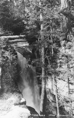 Cypress Creek Waterfall