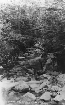 Cypress Creek