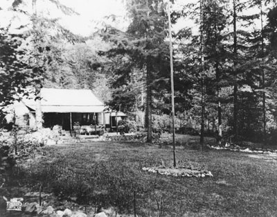 House surrounded by trees