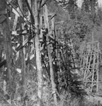 Railway Trestle