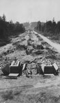 Lions Gate Bridge Construction