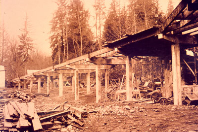 Capilano River Bridge